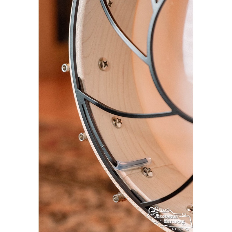 Tone-Gard Open Back Banjo (12)