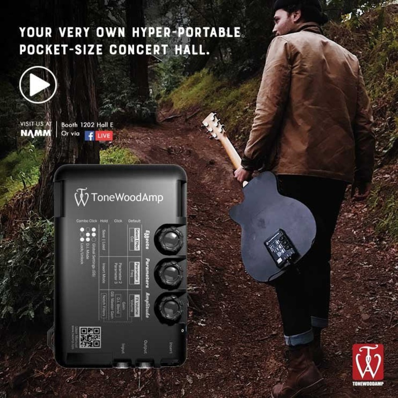 ToneWoodAmp Solo Left Handed