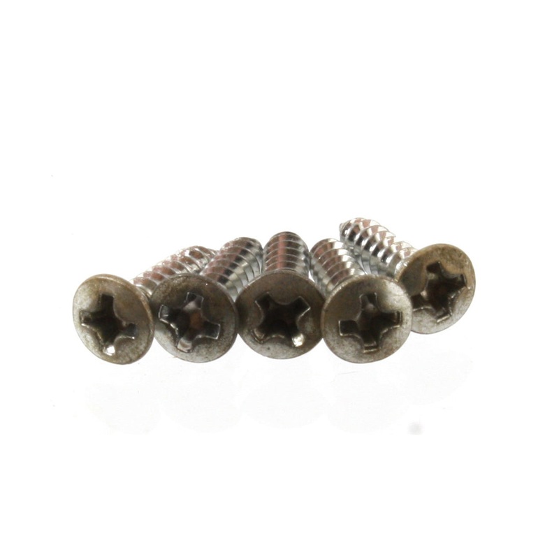 Aged Allparts Standard Pickguard Screws