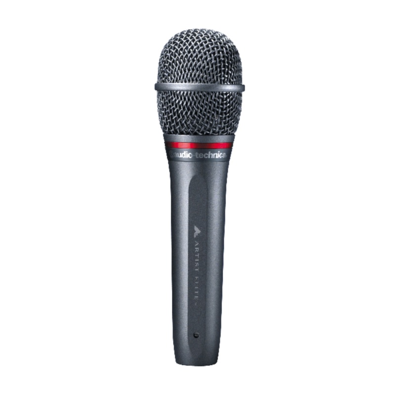 Audio-Technica – AE6100 Hypercardioid Dynamic Handheld Microphone
