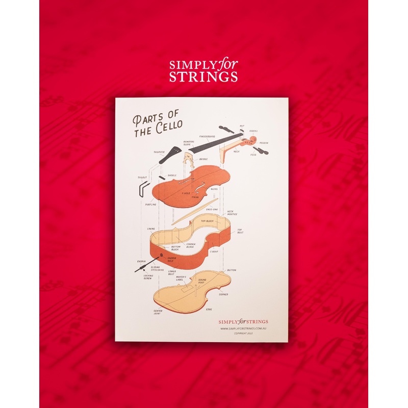 Parts of the Cello Poster – A2 Size