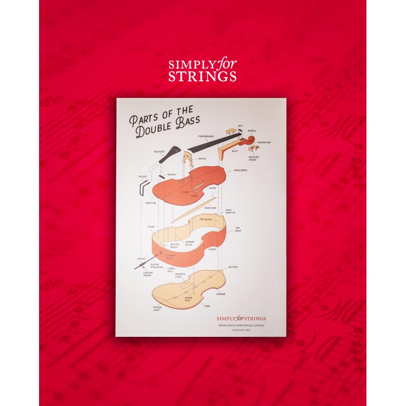 Parts of the Double Bass Poster – A2 Size