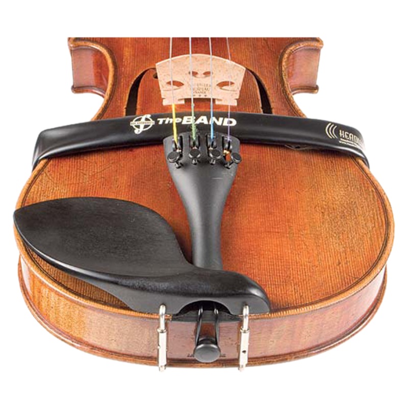 The Band Viola Pickup
