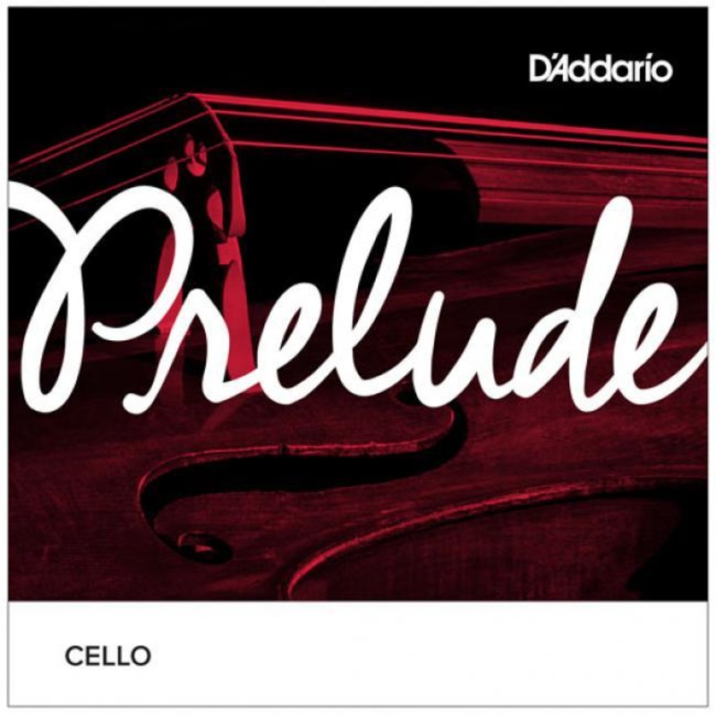 D’Addario Prelude Cello D String 1/2