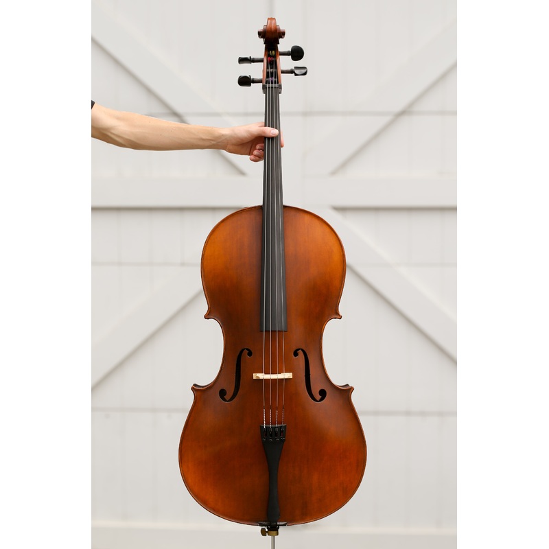 Virtuoso Cello Outfit