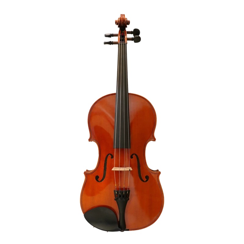 Concerto Viola Outfit 16