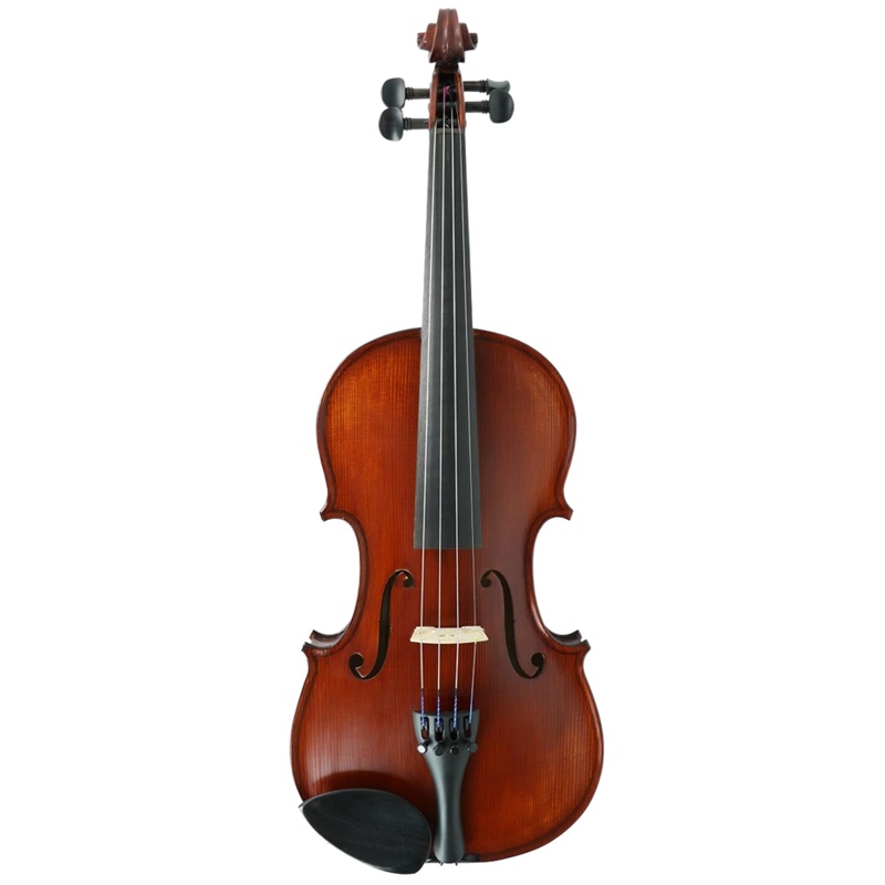 Gliga II Violin Outfit with Dark Antique Varnish 1/4