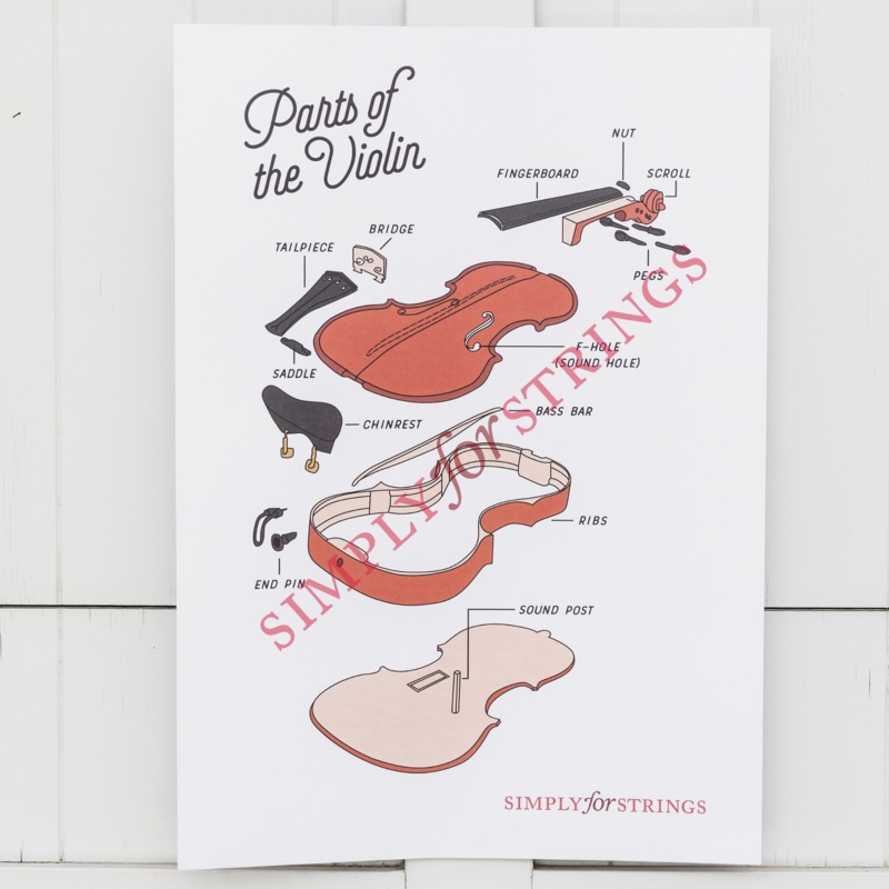 Parts of the Violin Poster – A2 Size