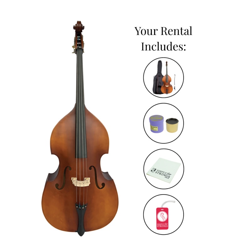 Beginner Double Bass Rental