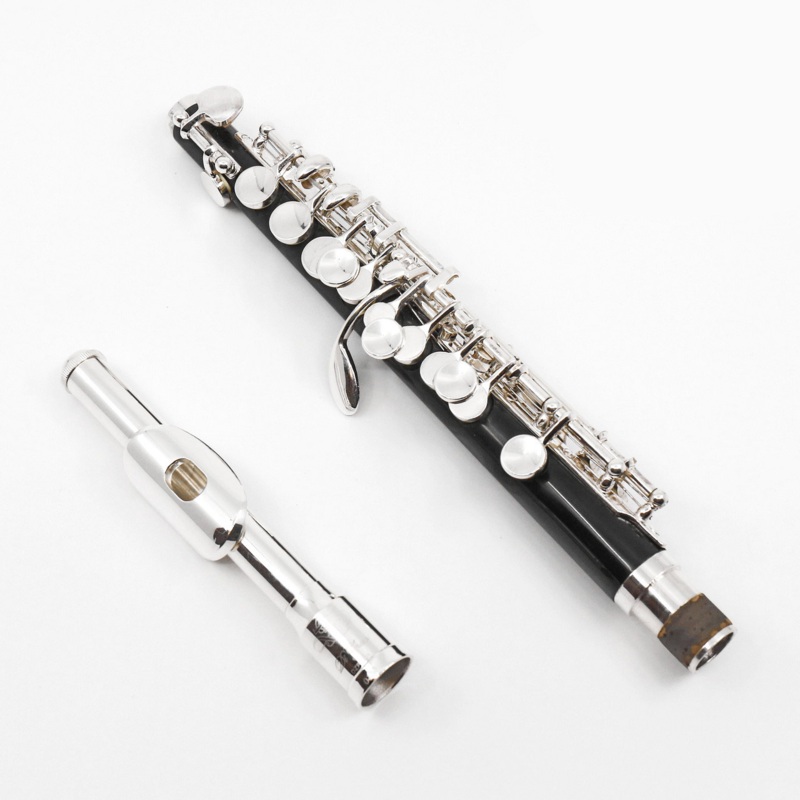 Di Zhao Piccolo Model DZP-101 – New