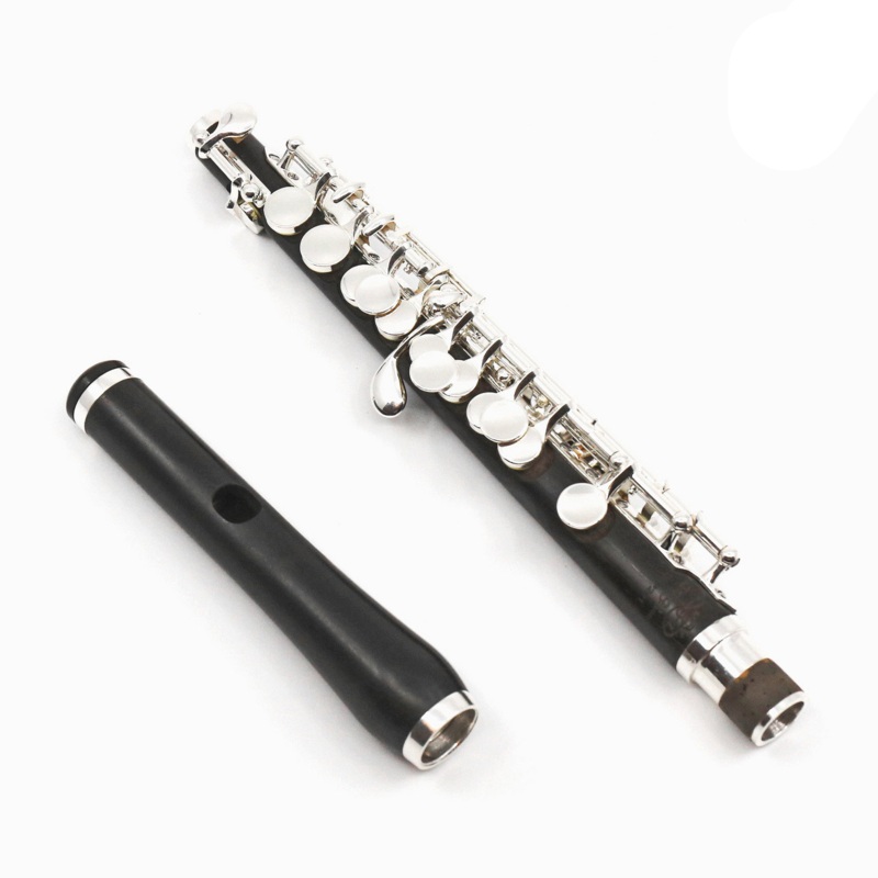 Di Zhao Piccolo Model DZP-201 – New