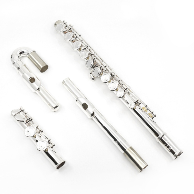Eastman Student Flute Model EFL210-CS – Curved and Straight Headjoints – New