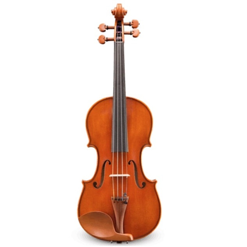 Andreas Eastman VL200SBC-4/4 Step-Up Violin Outfit