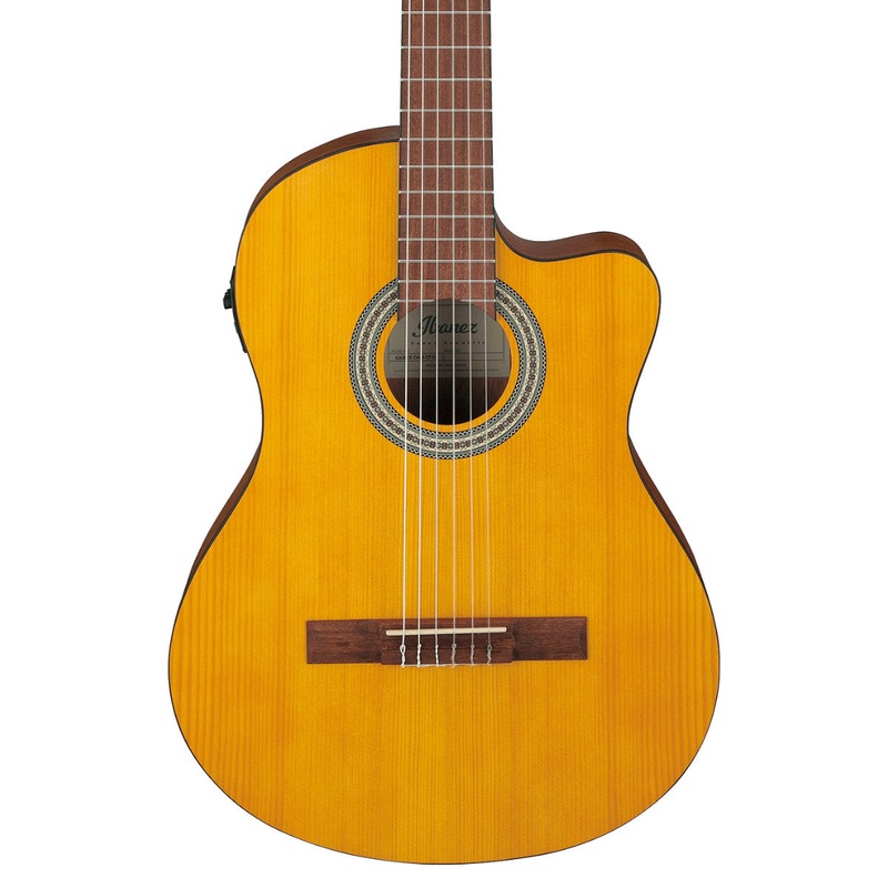Ibanez Classical Series Nylon String Acoustic-Electric Guitar – Open Pore Amber