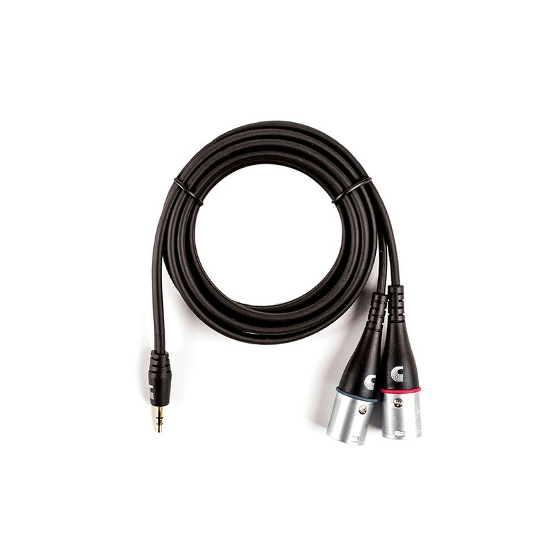 D’Addario 1/8 Inch To Dual XLR Audio Cable, 6ft