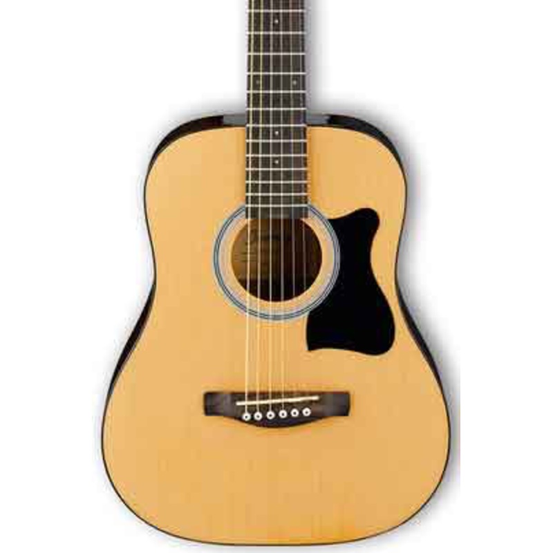 Ibanez IJV30 Jampack Acoustic Guitar Pack