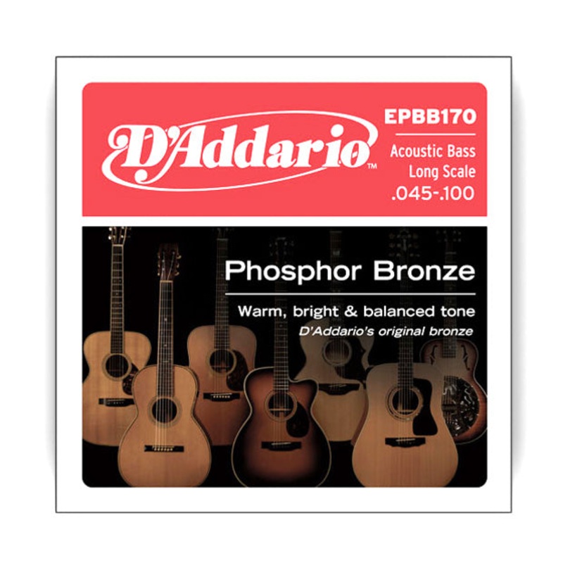 D’Addario Long Scale Phosphor Bronze Acoustic Bass Strings, 45-100